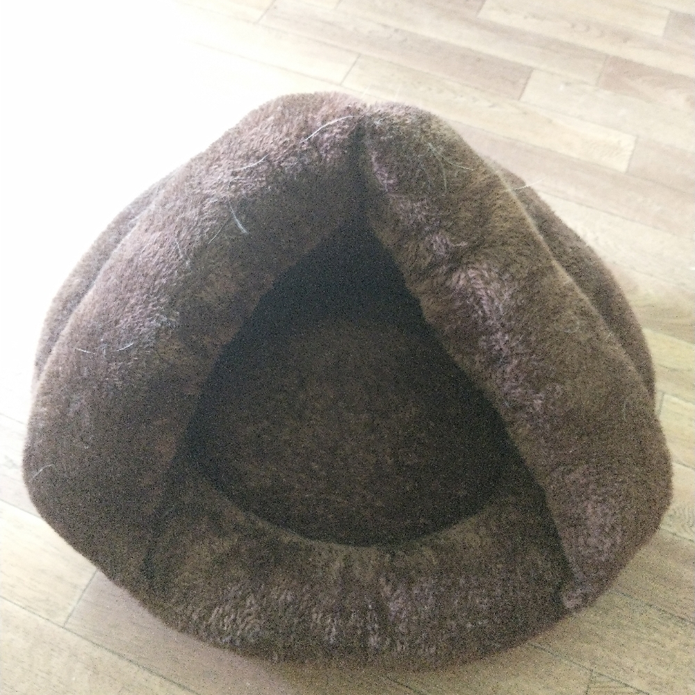 Cat bed